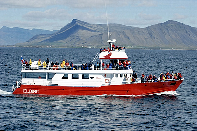 Walbeobachtungsboot Elding
