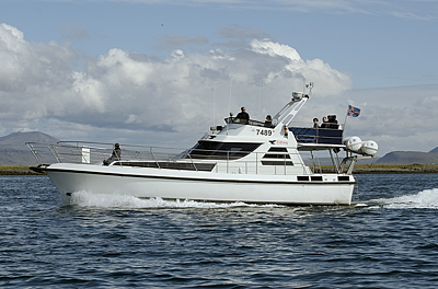 Walbeobachtungsboot Elding2
