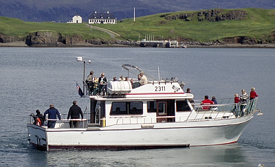 Walbeobachtungsboot Gestur